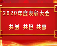 2020安的電子年度表彰大會順利召開 ---“共創(chuàng)，共擔(dān)，共贏”主題演講