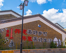 RFID圖書館距離農(nóng)村基層還有多遠(yuǎn)？